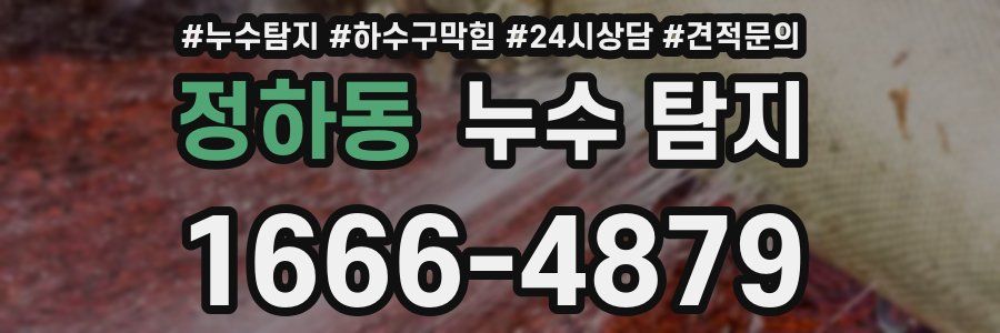 정하동 누수 탐지