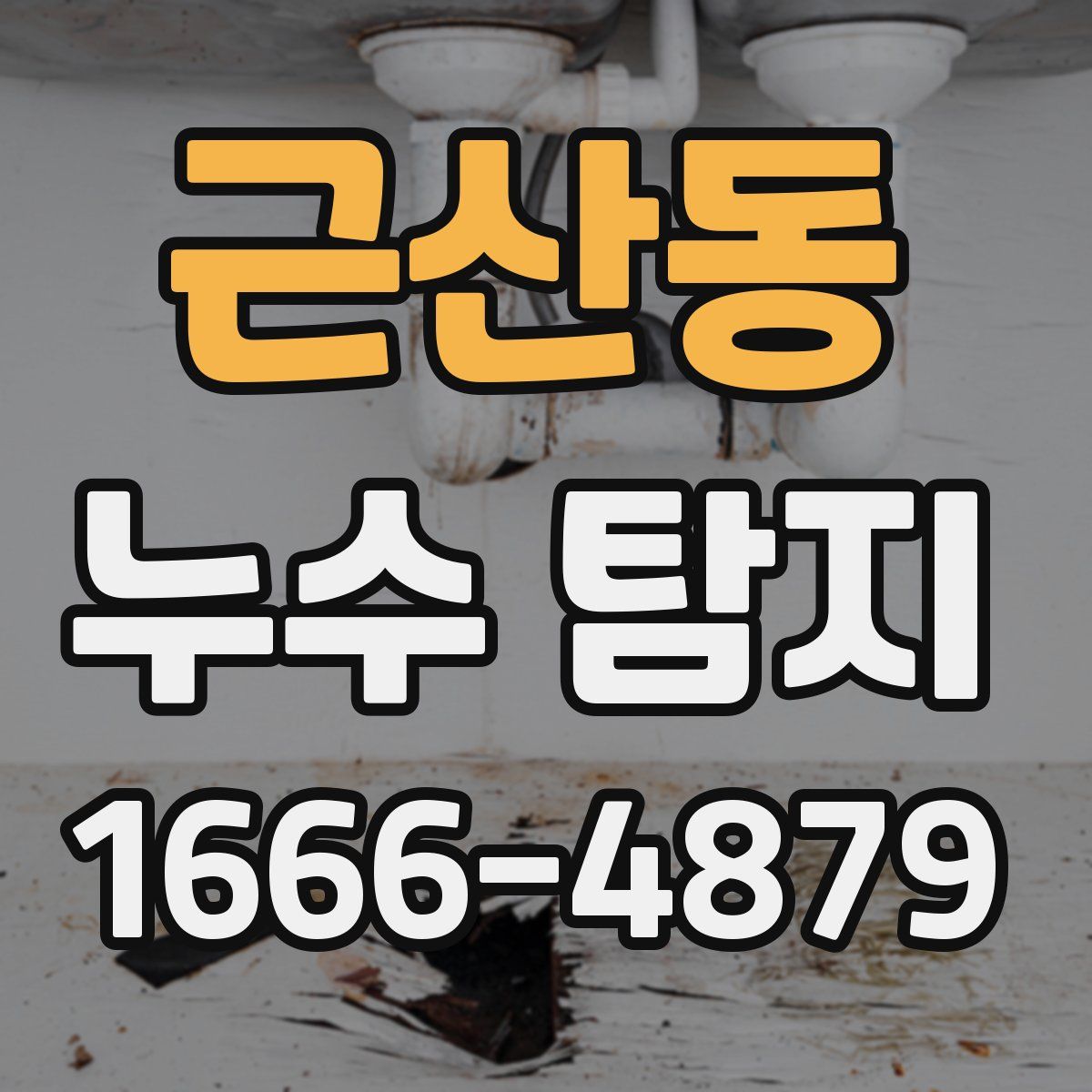 근산동 누수 탐지