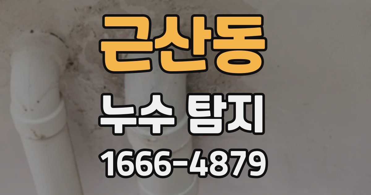 근산동 누수 탐지