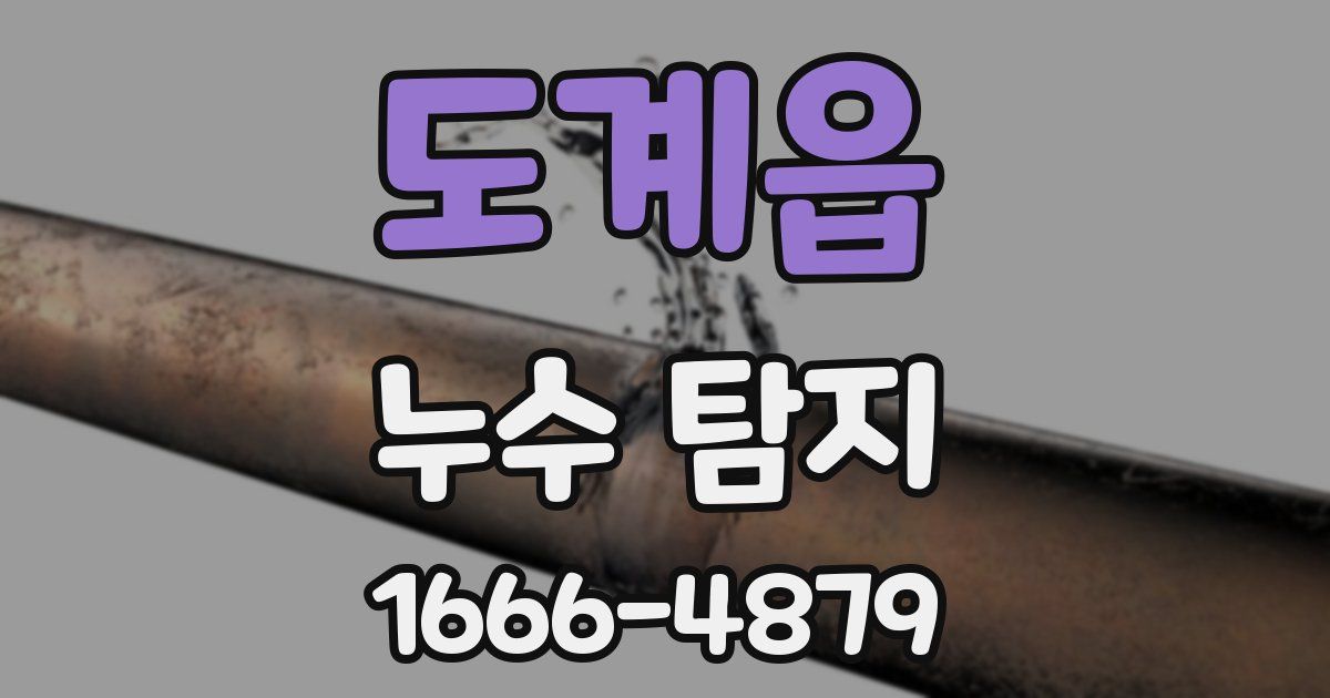 도계읍 누수 탐지