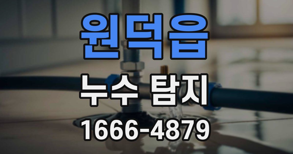 원덕읍 누수 탐지