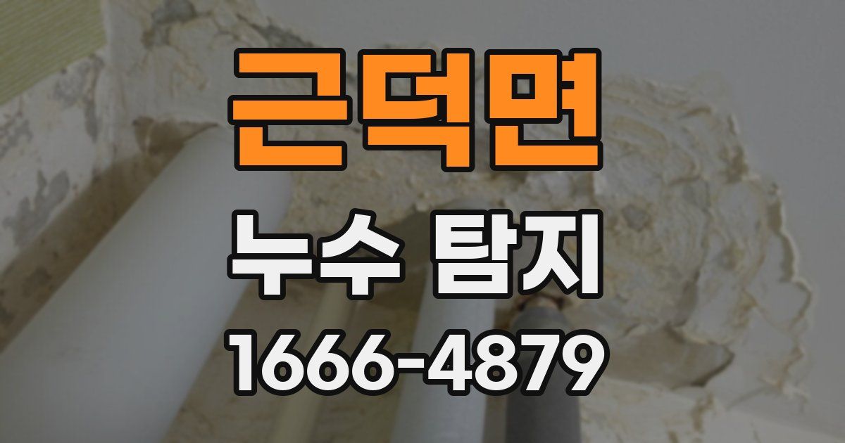 근덕면 누수 탐지