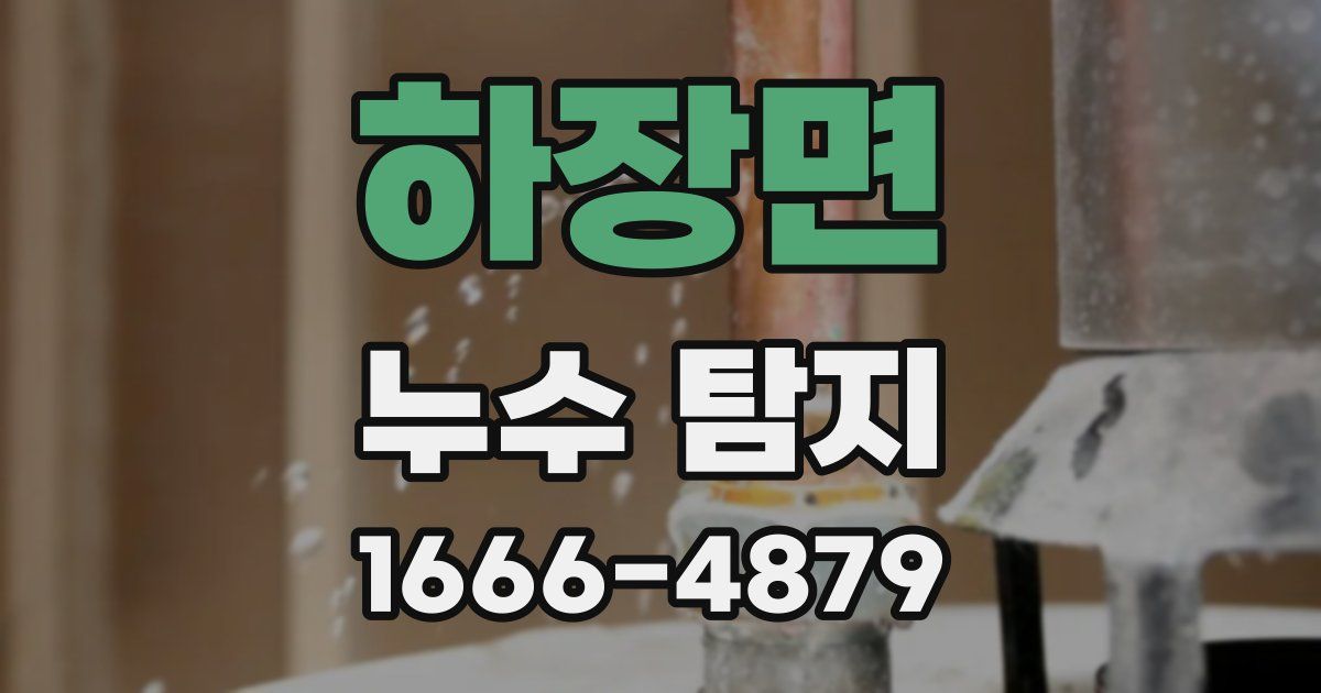하장면 누수 탐지