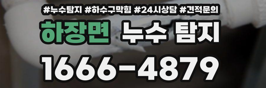 하장면 누수 탐지