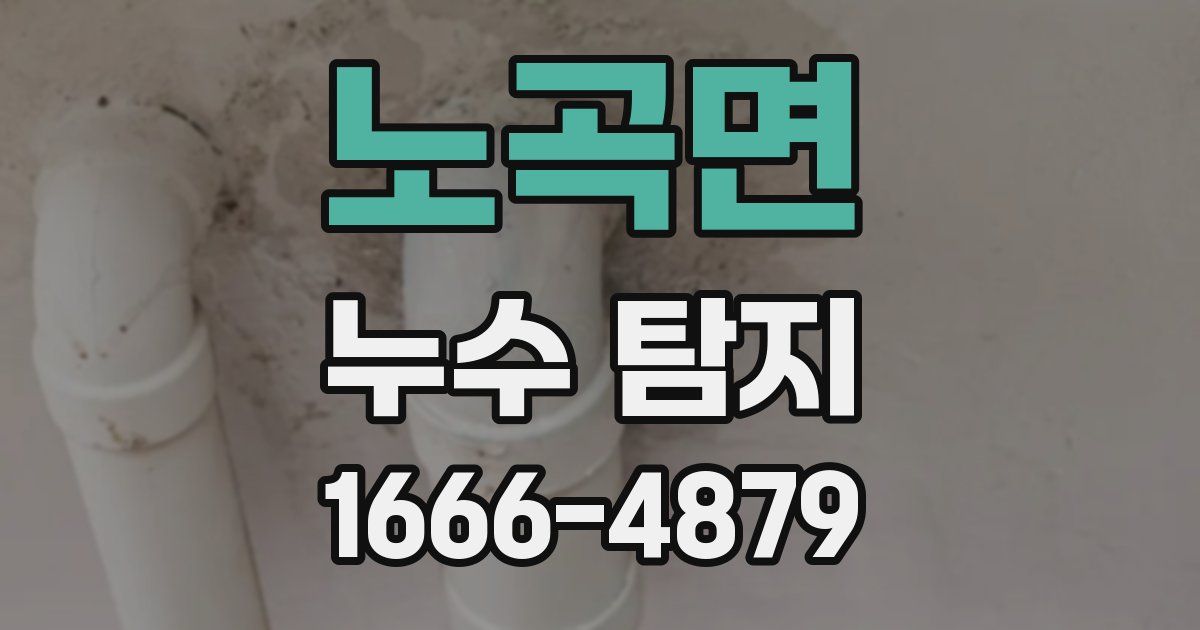 노곡면 누수 탐지