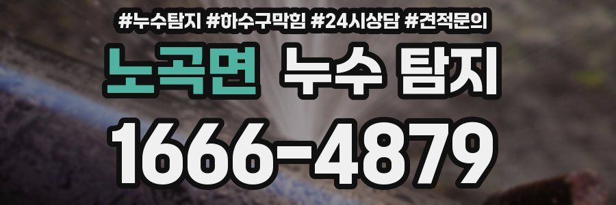 노곡면 누수 탐지