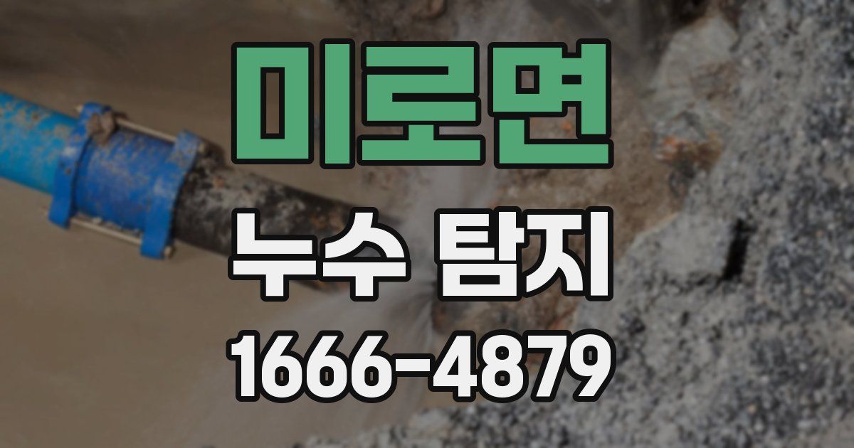 미로면 누수 탐지