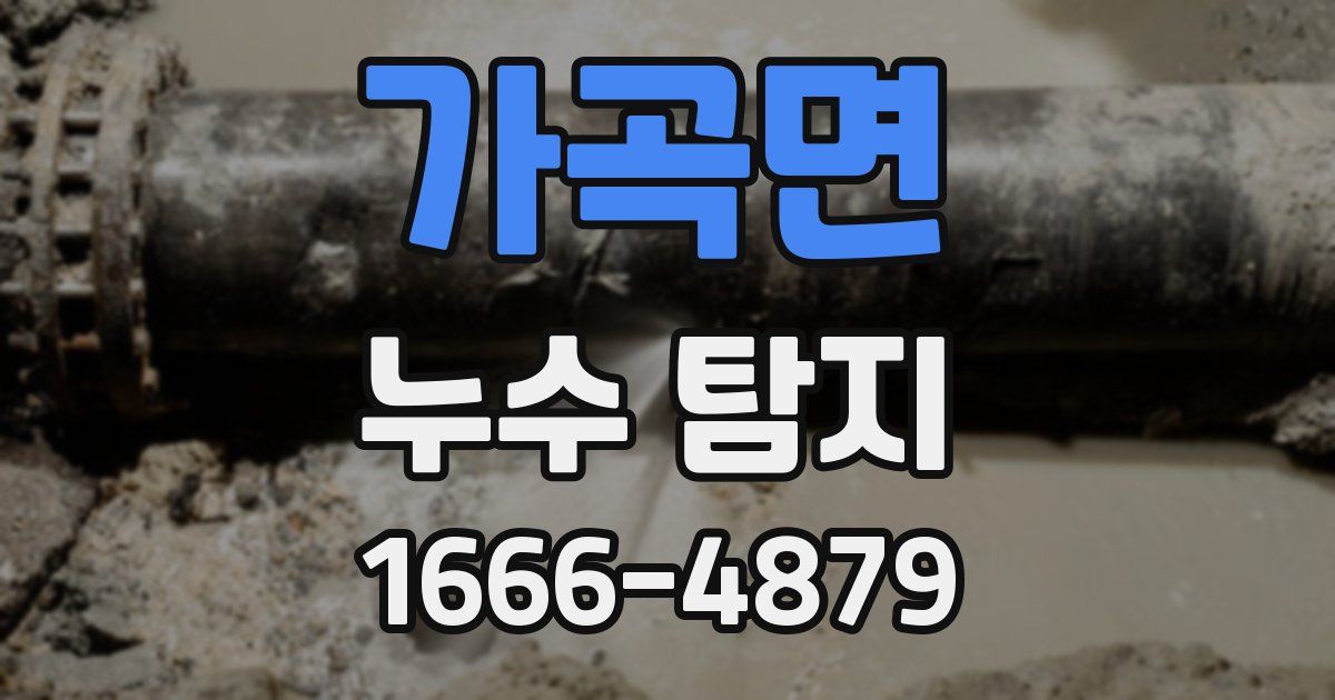 가곡면 누수 탐지