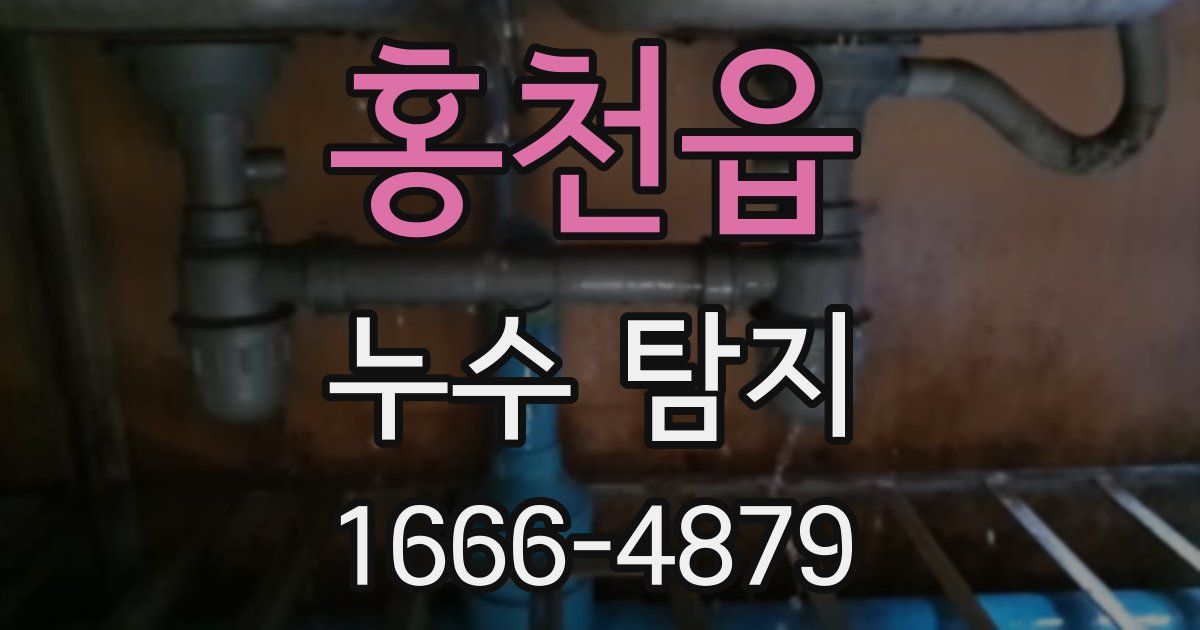 홍천읍 누수 탐지