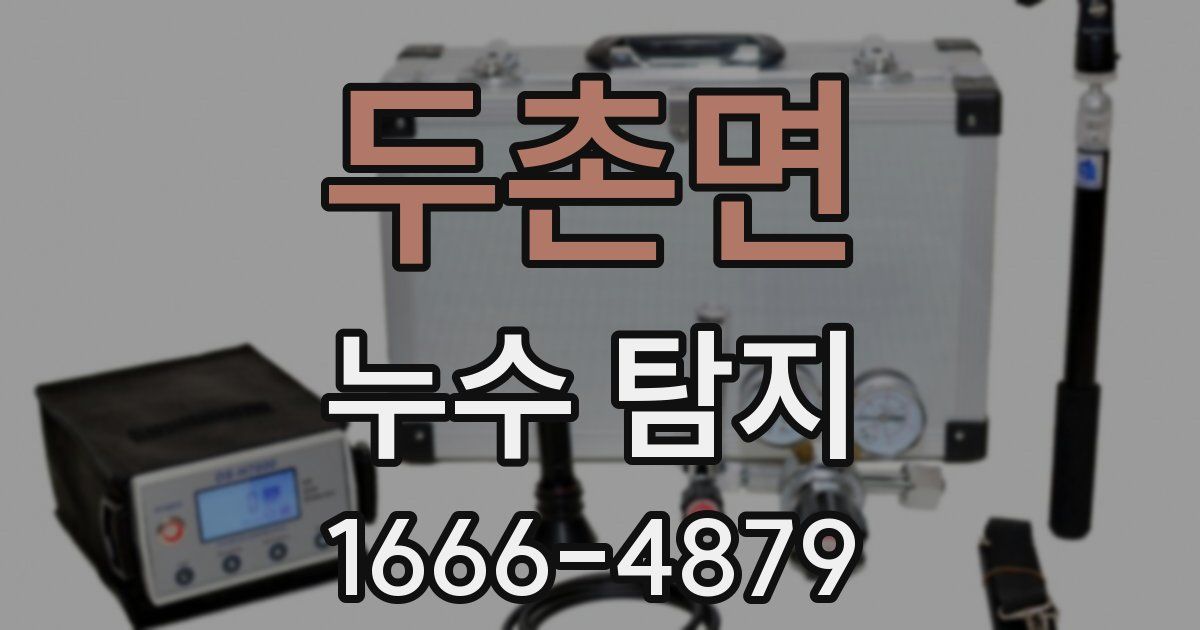 두촌면 누수 탐지