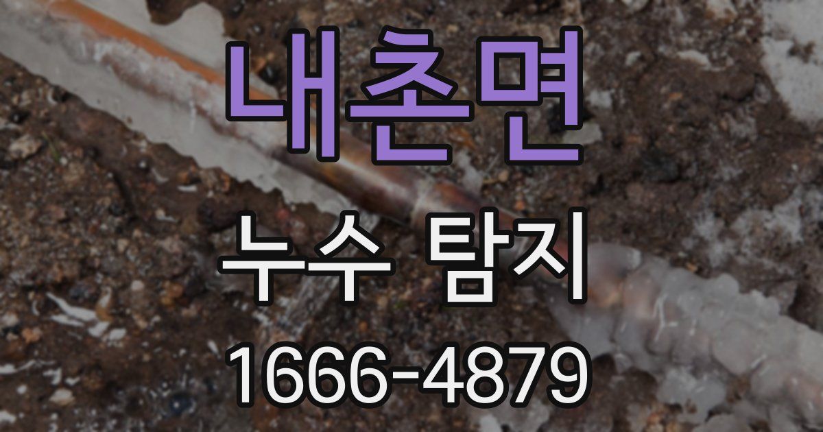 내촌면 누수 탐지