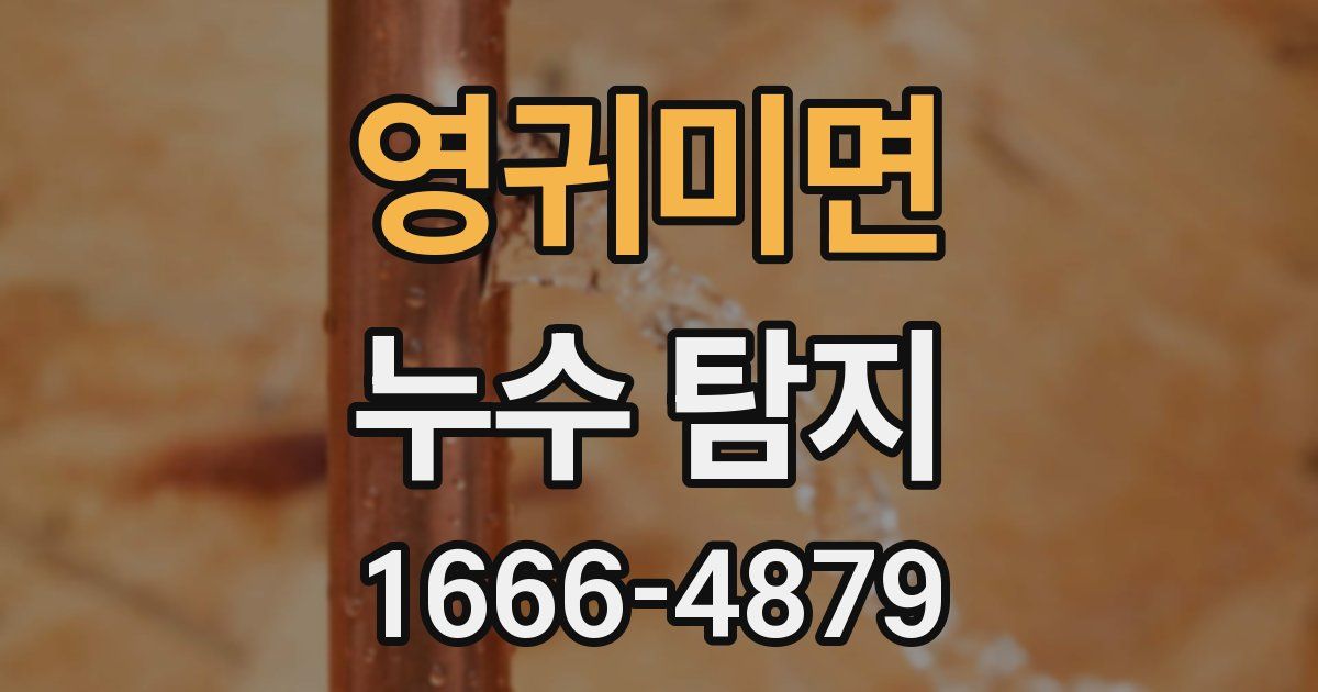 영귀미면 누수 탐지