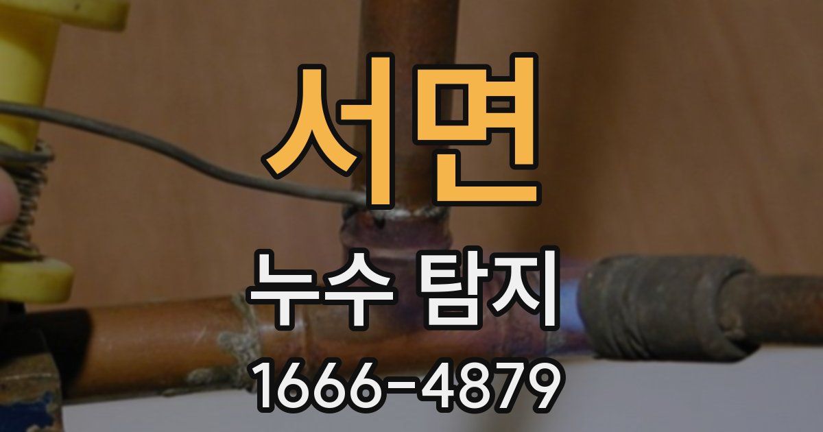 서면 누수 탐지