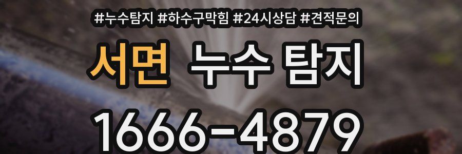 서면 누수 탐지