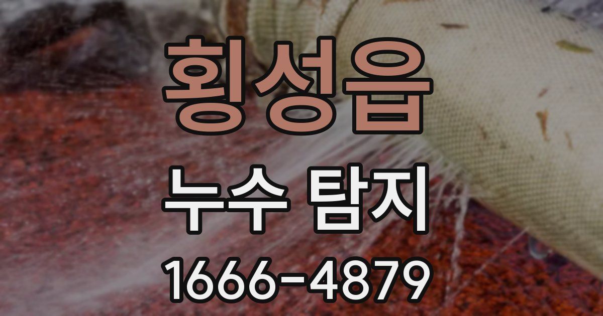 횡성읍 누수 탐지