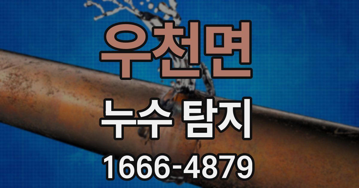 우천면 누수 탐지