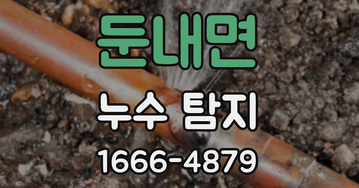 둔내면 누수 탐지