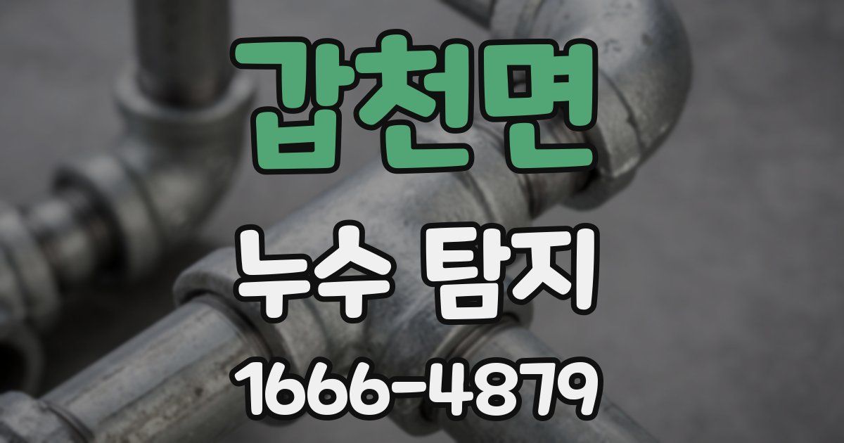 갑천면 누수 탐지