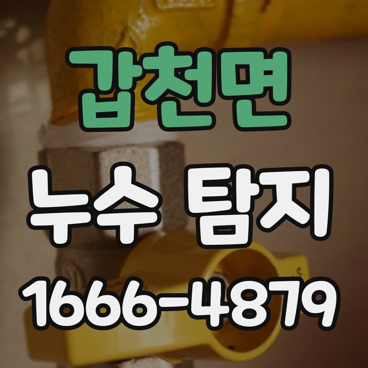 갑천면 누수 탐지