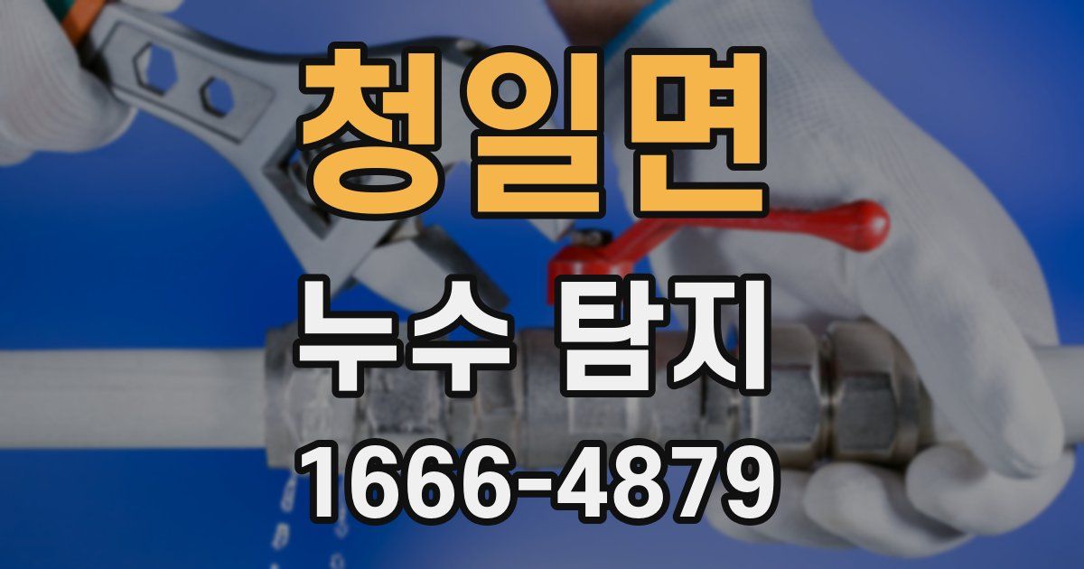 청일면 누수 탐지