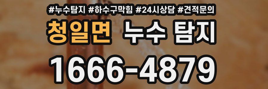 청일면 누수 탐지
