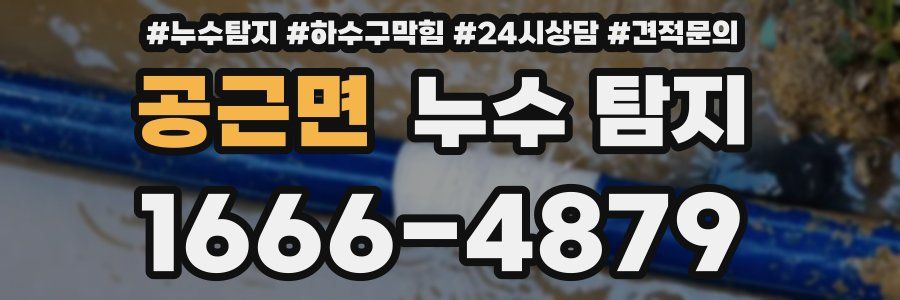 공근면 누수 탐지