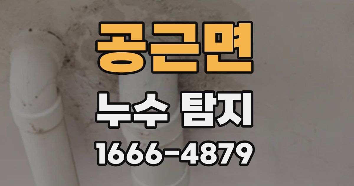 공근면 누수 탐지