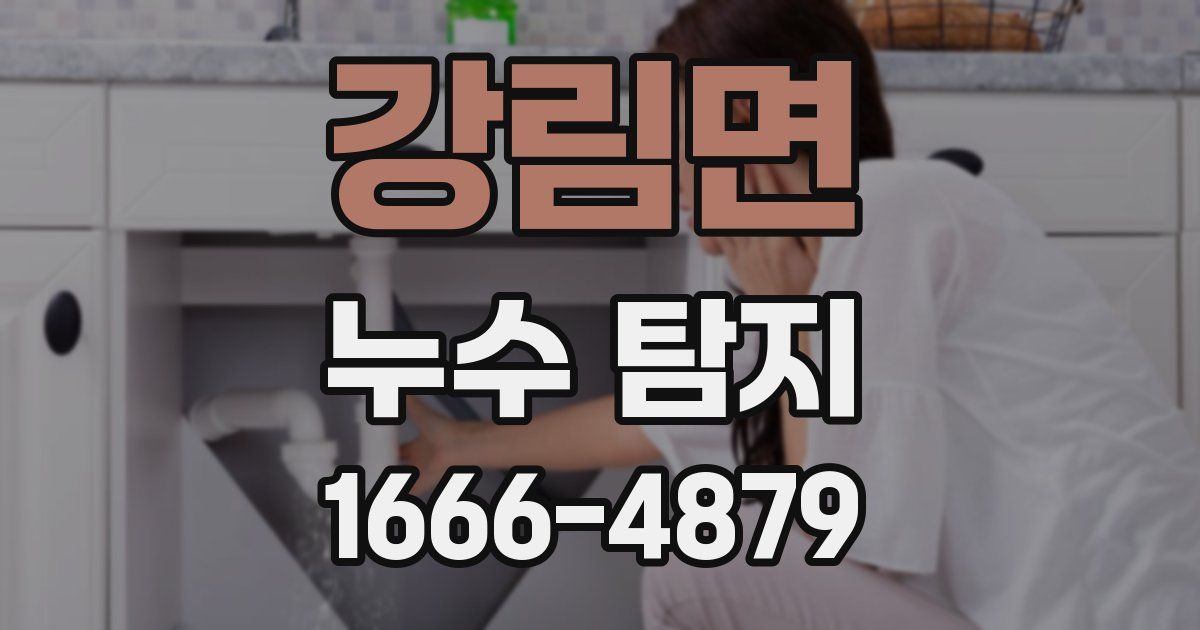 강림면 누수 탐지