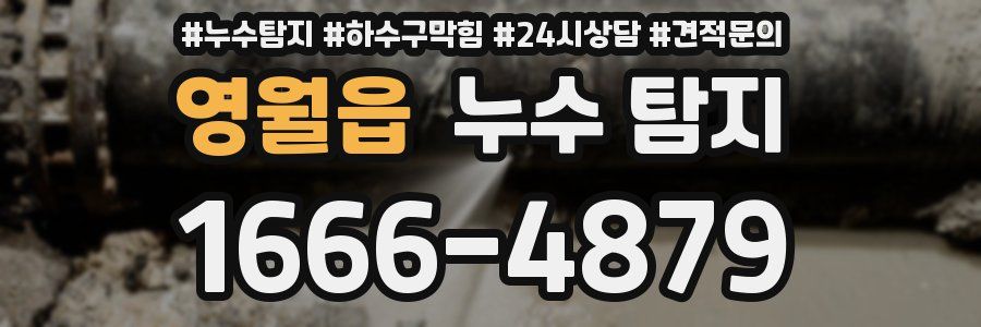영월읍 누수 탐지