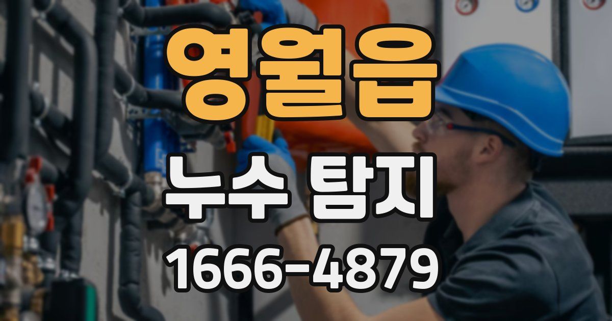 영월읍 누수 탐지