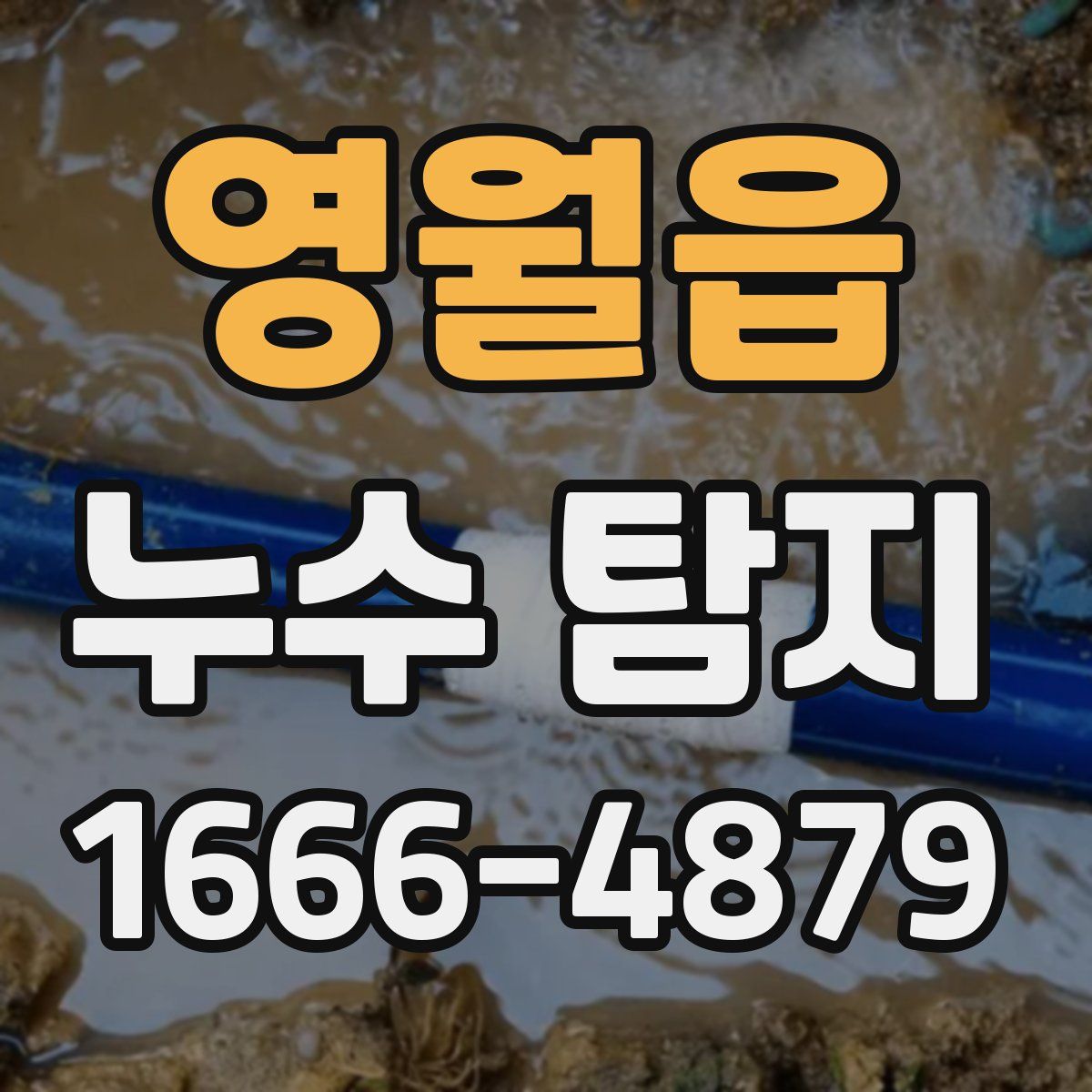 영월읍 누수 탐지