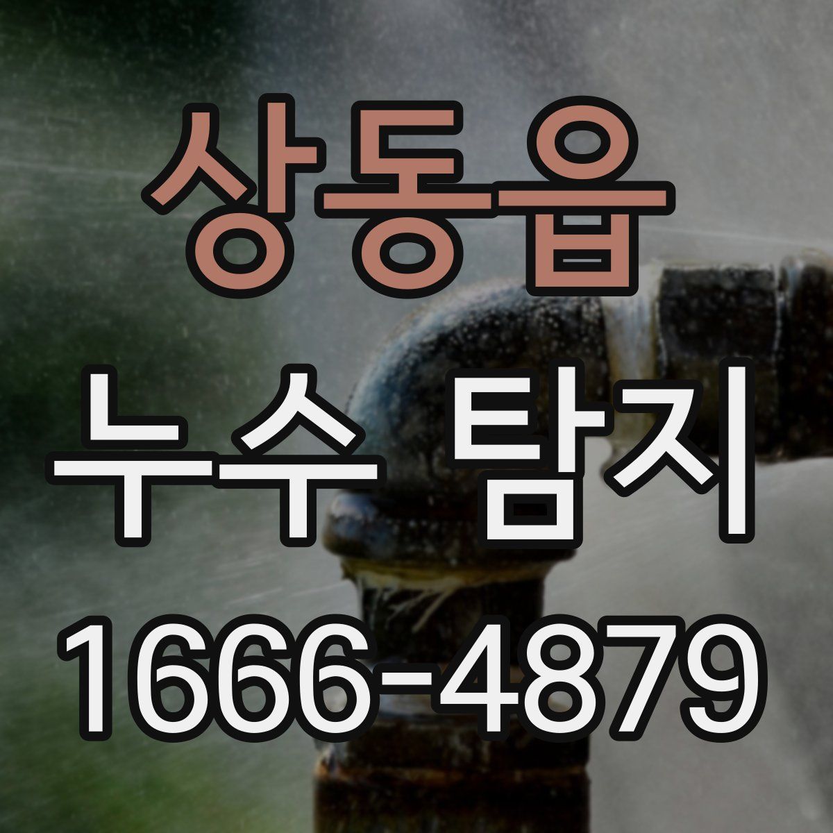 상동읍 누수 탐지