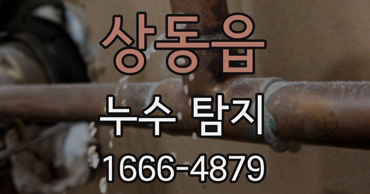상동읍 누수 탐지