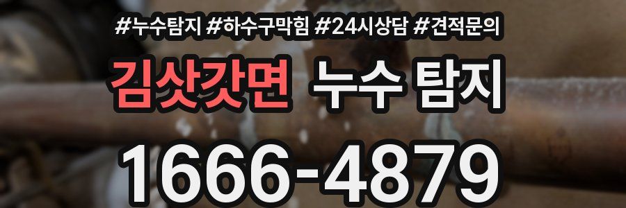 김삿갓면 누수 탐지