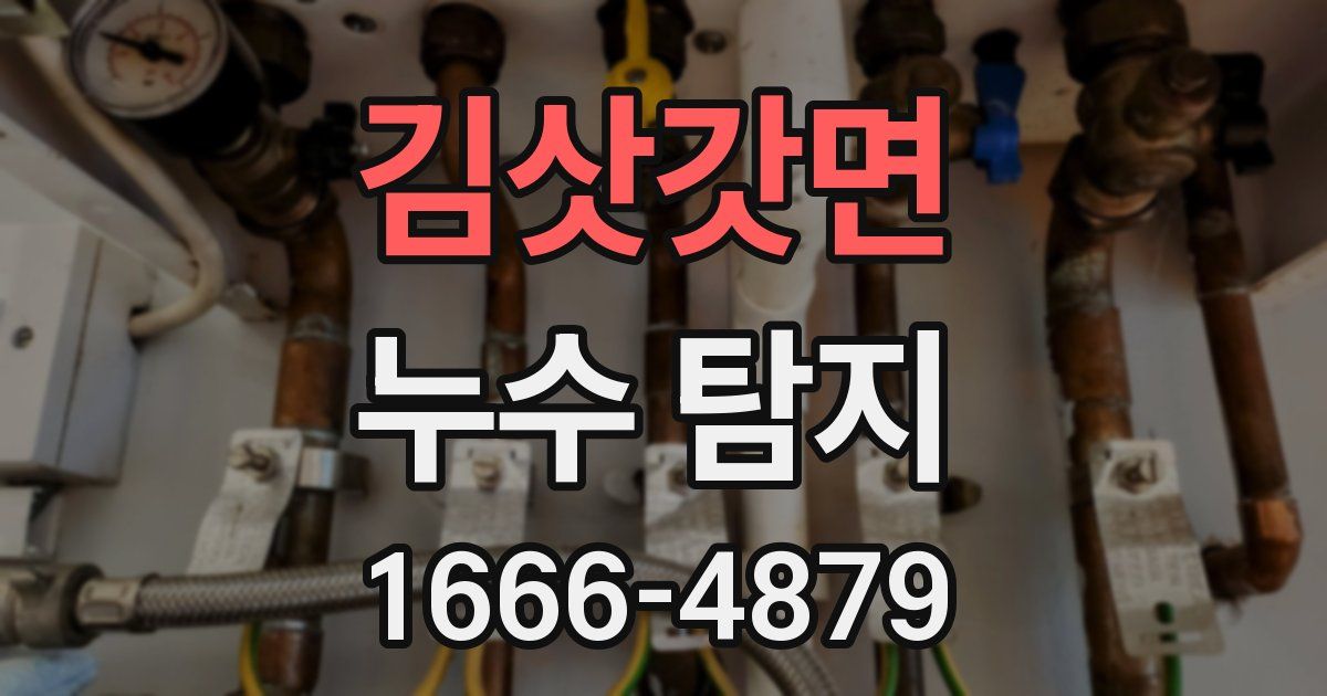 김삿갓면 누수 탐지