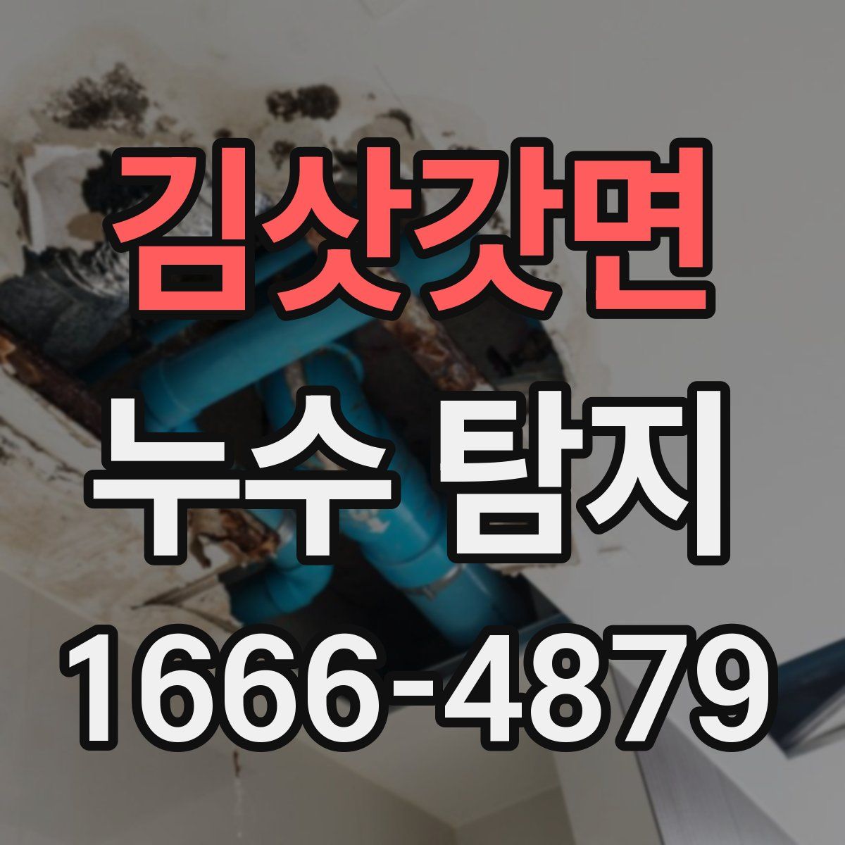 김삿갓면 누수 탐지