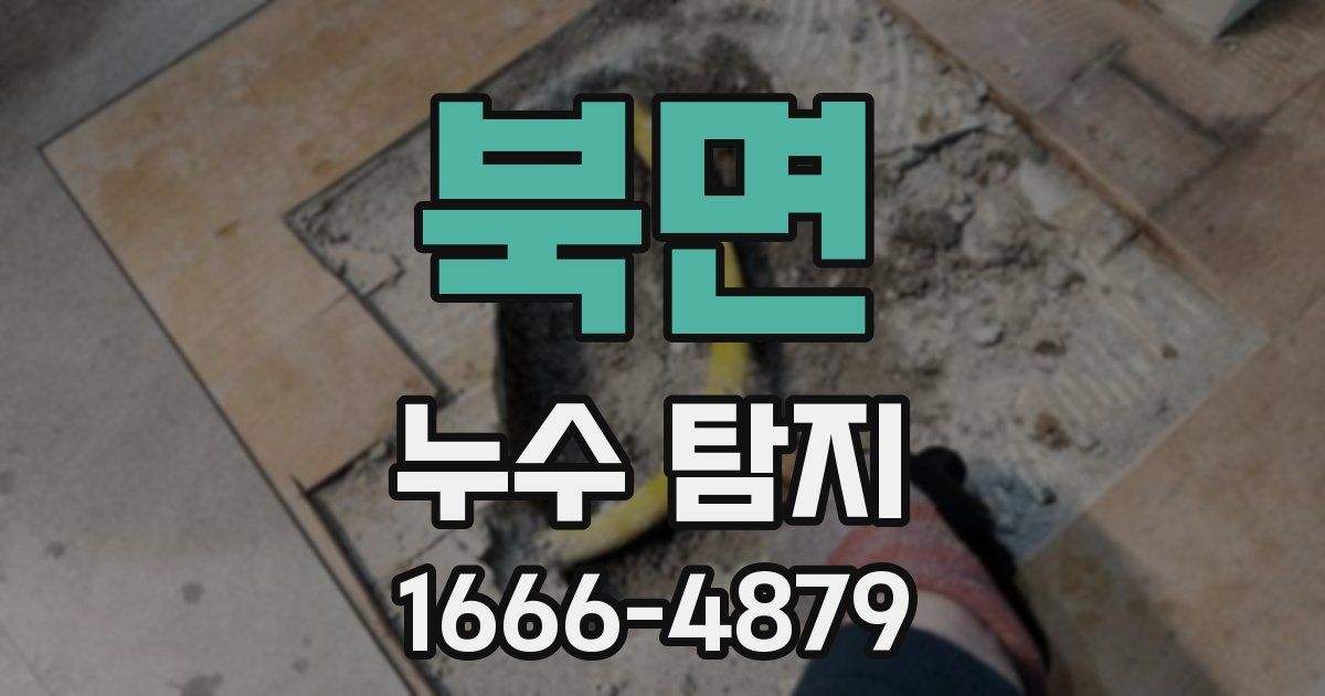 북면 누수 탐지