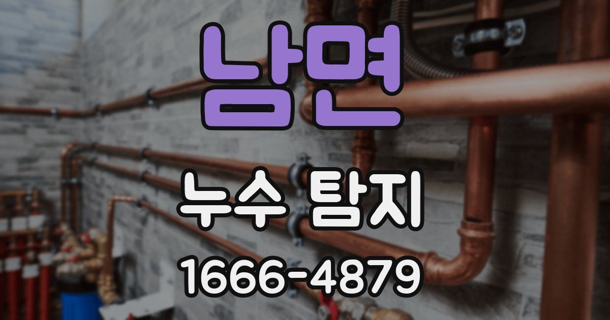 남면 누수 탐지