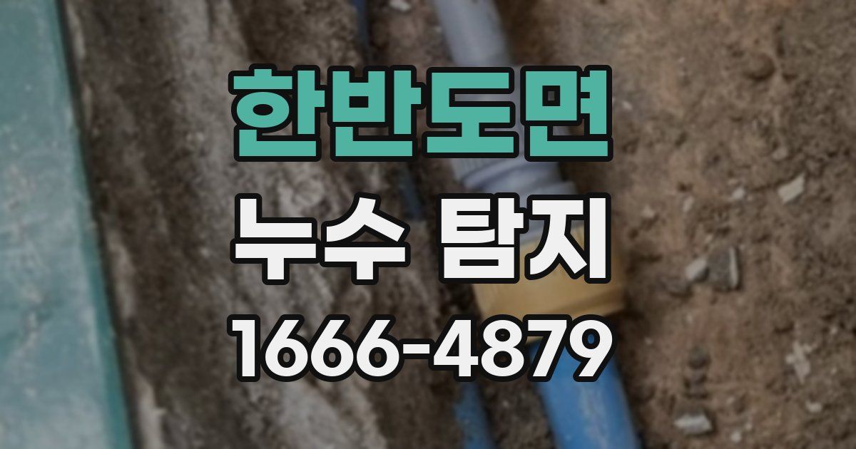 한반도면 누수 탐지