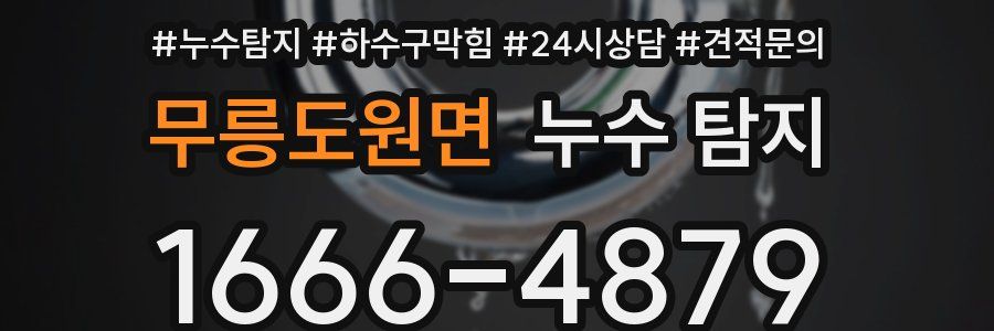 무릉도원면 누수 탐지