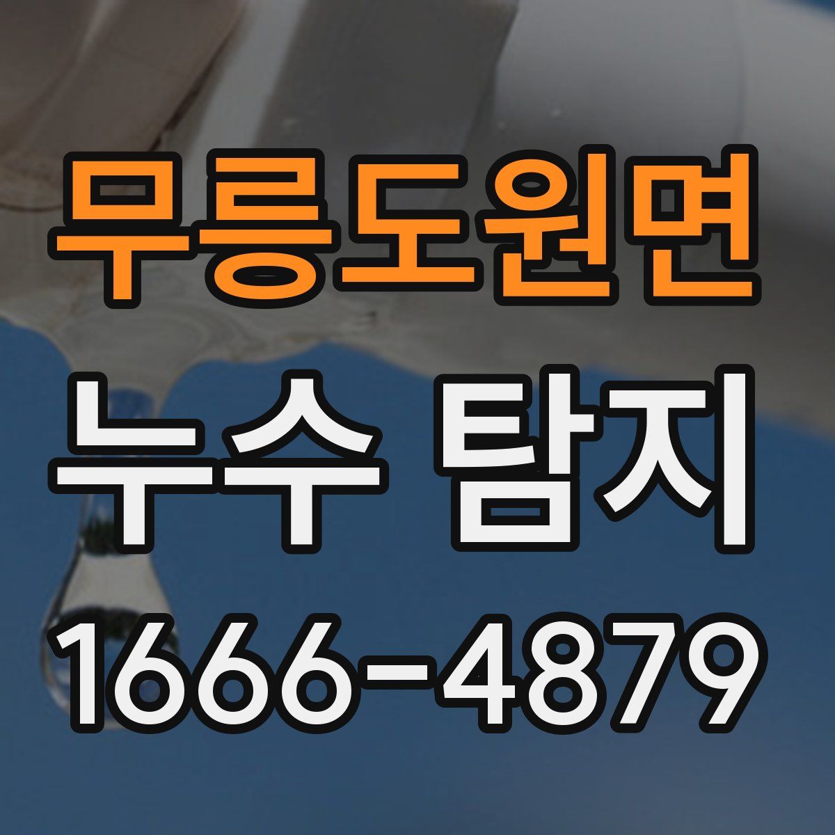 무릉도원면 누수 탐지