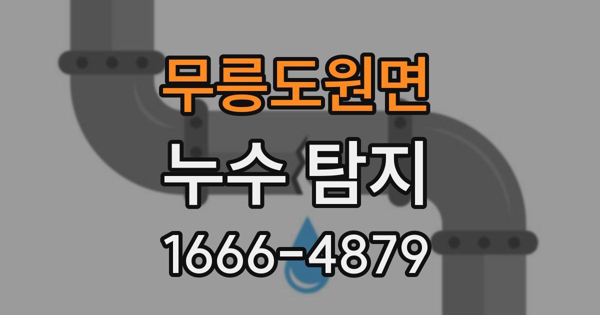 무릉도원면 누수 탐지