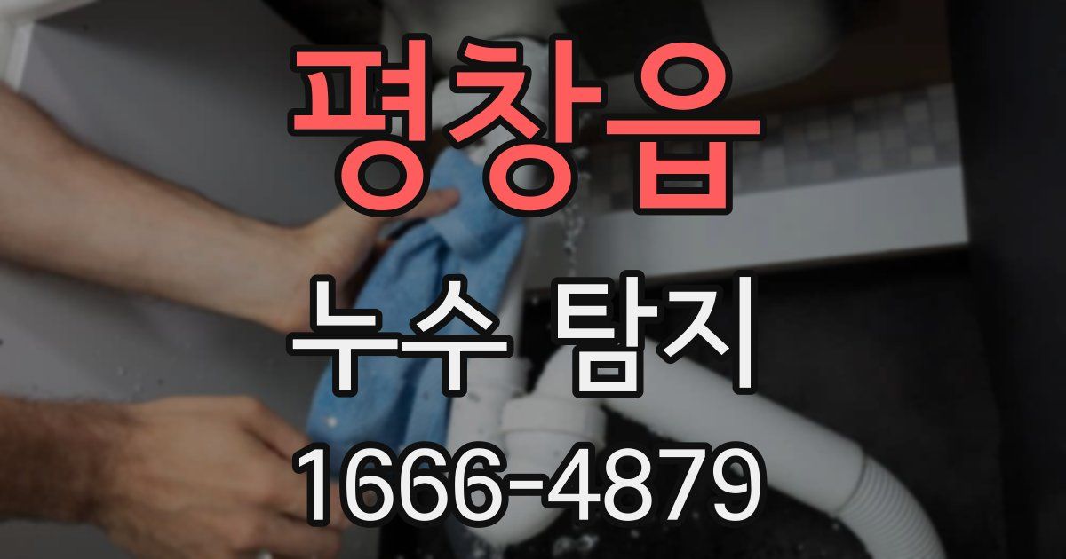 평창읍 누수 탐지