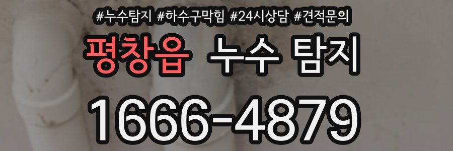 평창읍 누수 탐지