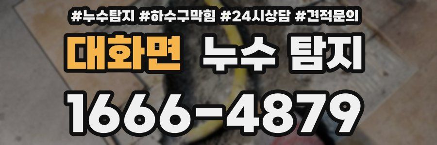 대화면 누수 탐지