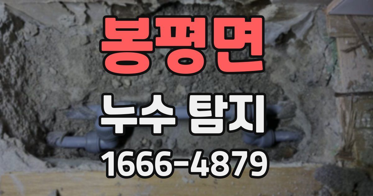 봉평면 누수 탐지