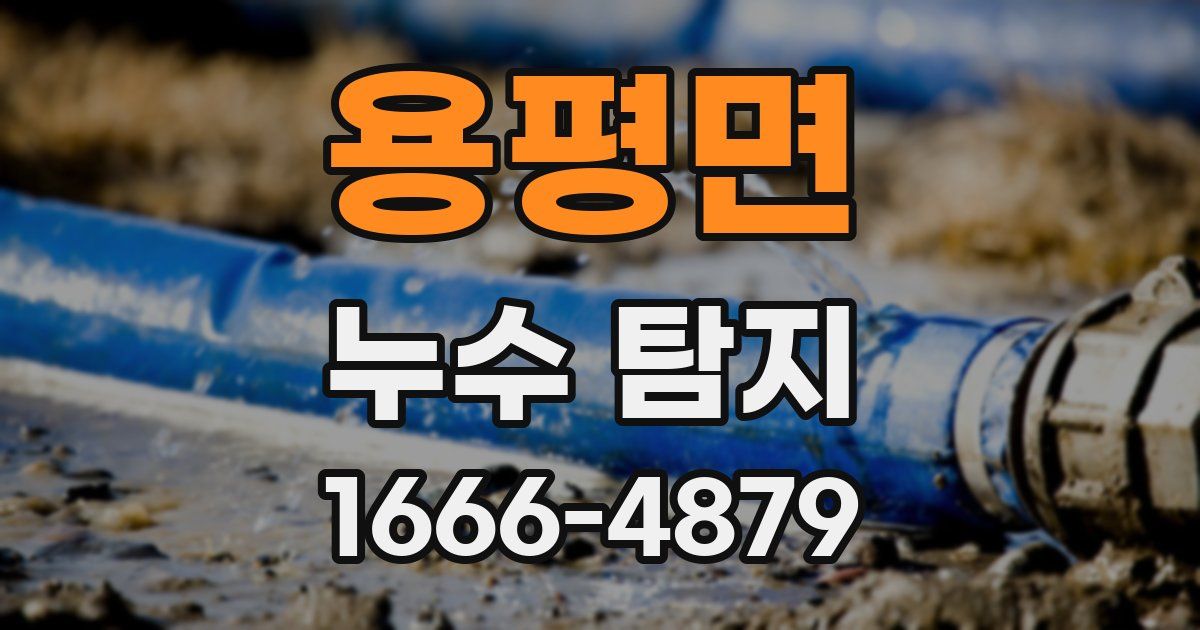 용평면 누수 탐지