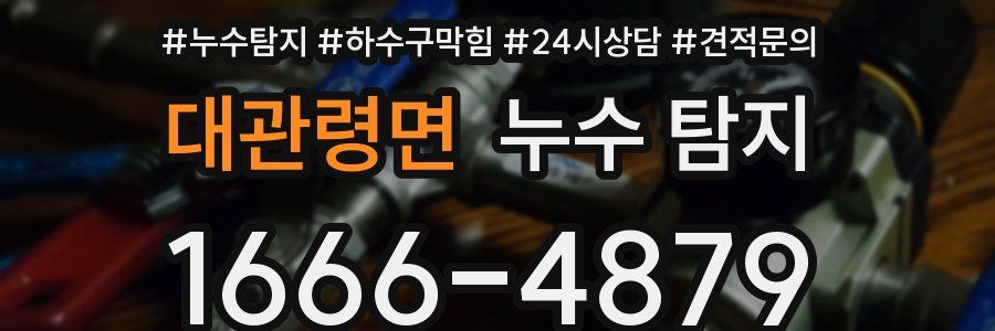 대관령면 누수 탐지