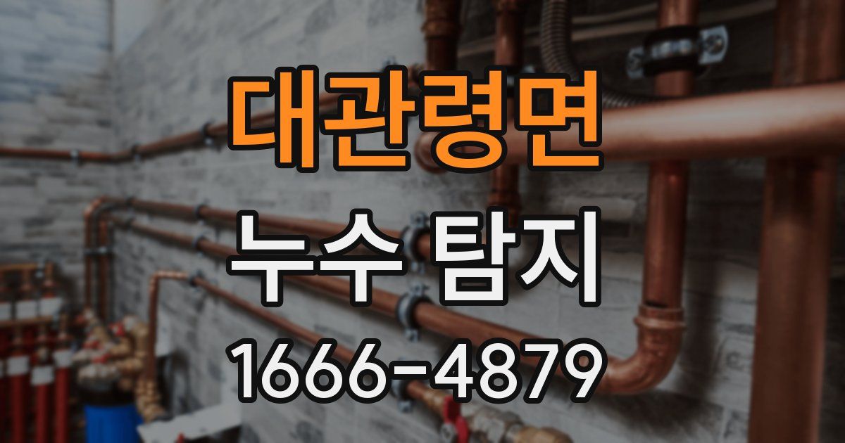 대관령면 누수 탐지