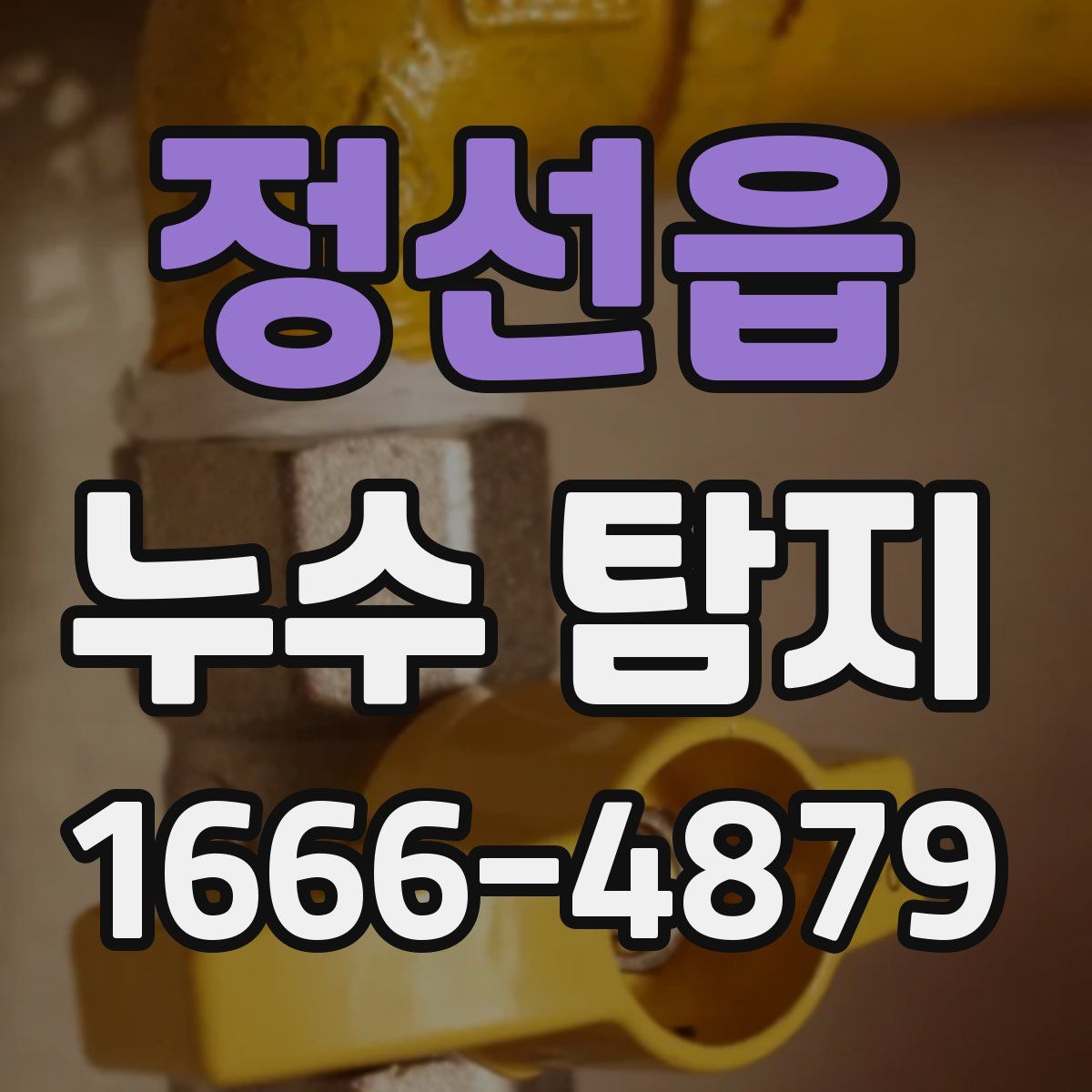정선읍 누수 탐지